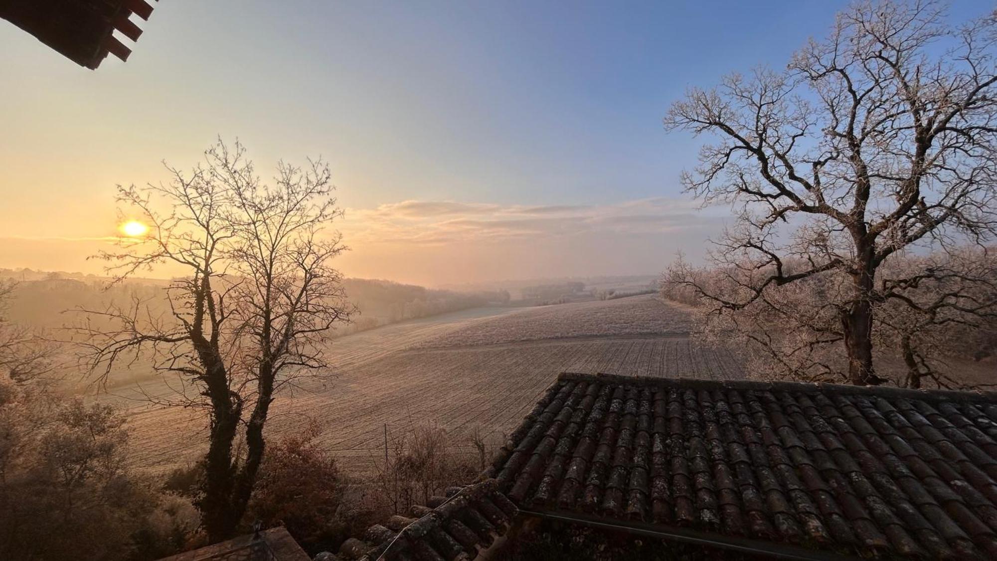 Chambres D'Hotes Dans Un Chateau Au Coeur De La Toscane Occitane Albi-Cordes-Rabastens Senouillac Zewnętrze zdjęcie
